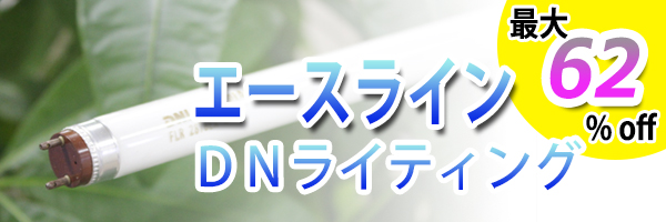 DNライティングエースライン最大62%OFF